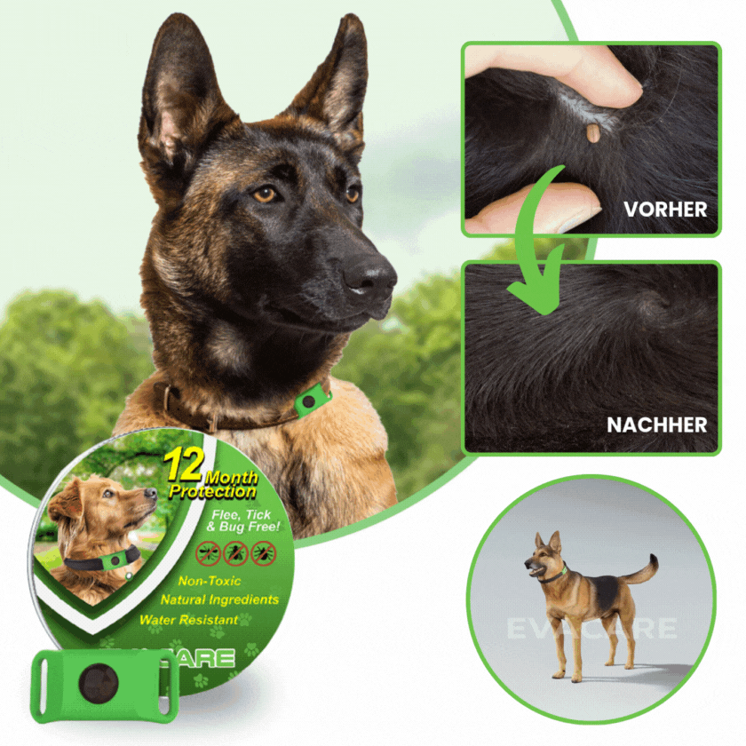 EvaCare™ | 12 Monate floh- und zeckenfrei