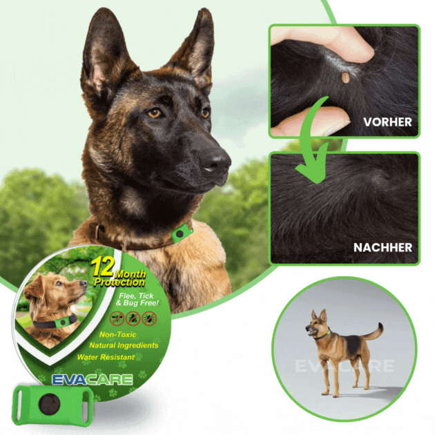 EvaCare™ | 12 Monate floh-und zeckenfrei