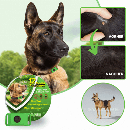 EvaCare™ | 12 Monate floh- und zeckenfrei